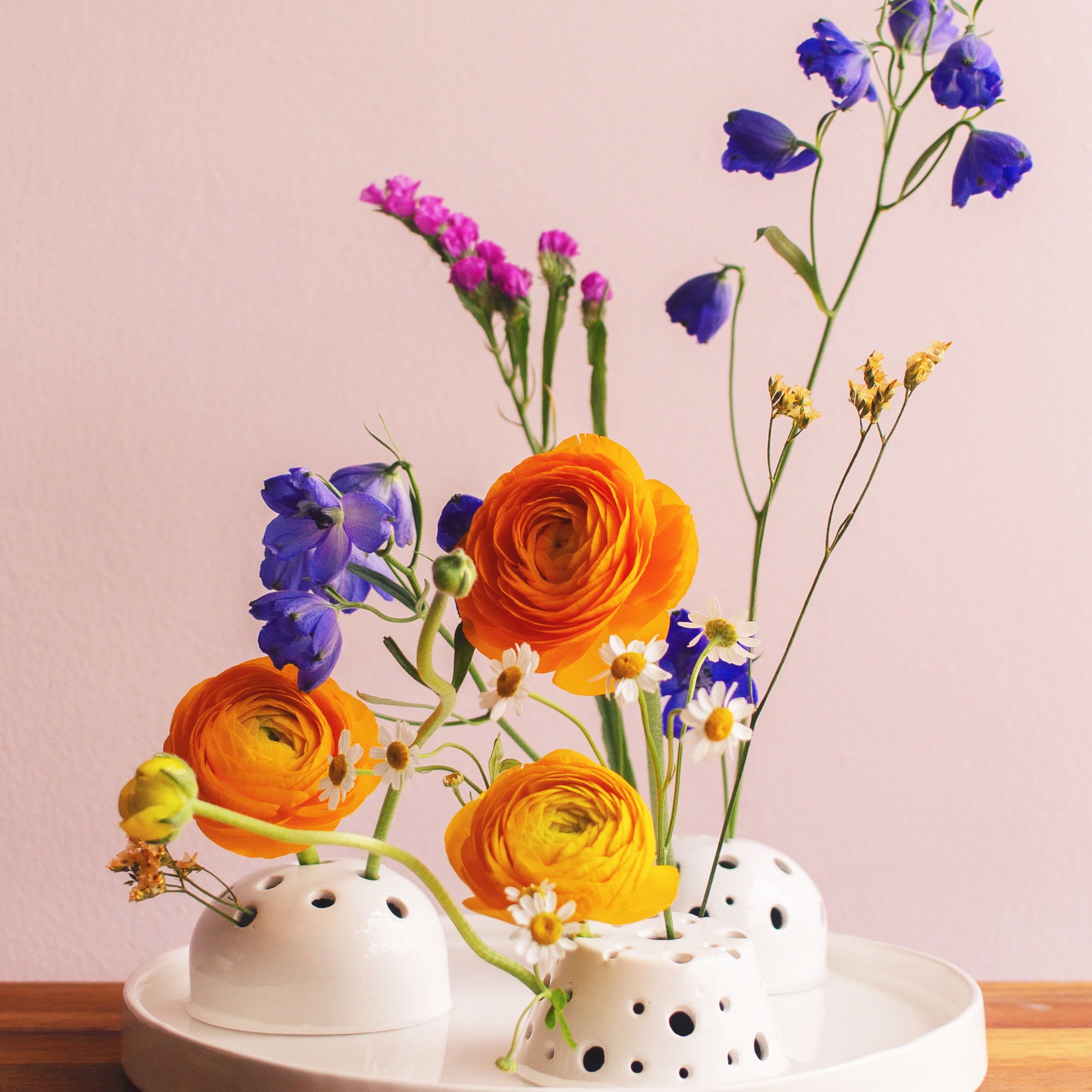 Ranas Florales - Imagen 2